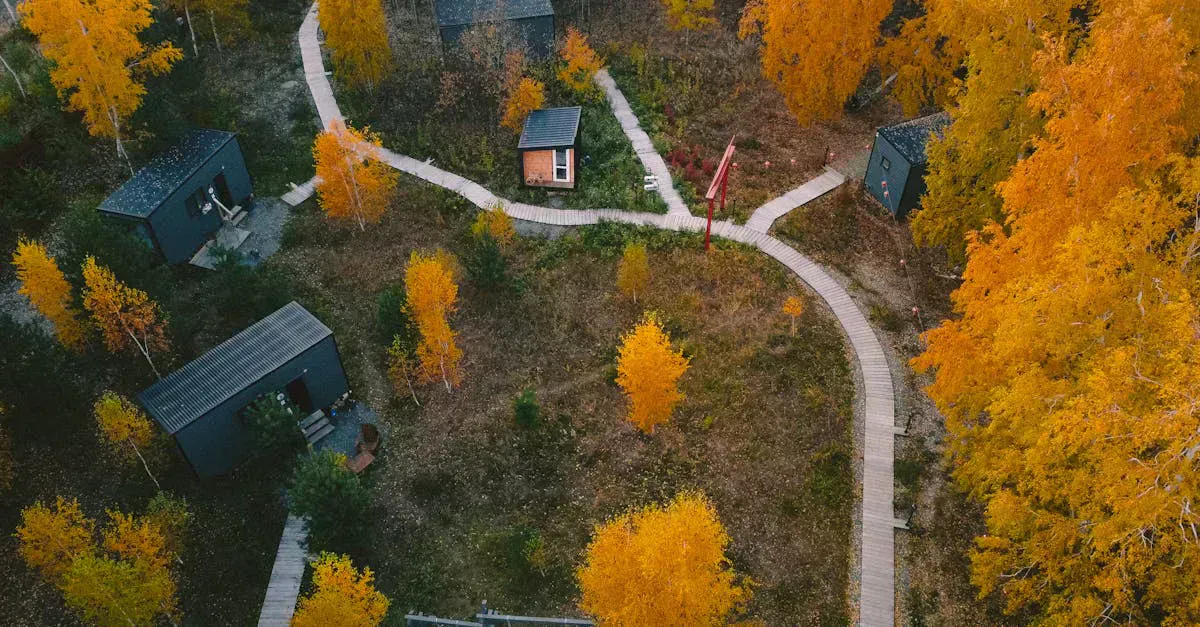 Off-grid cabins surrounded by forest with rooftop solar panels