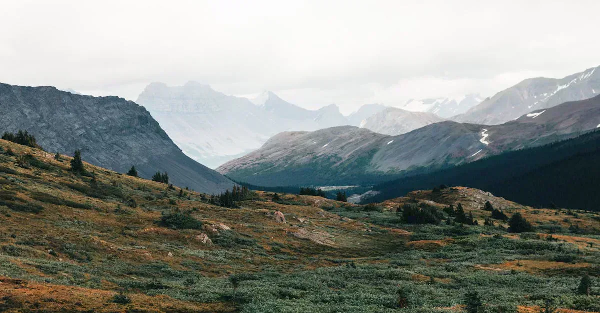 Off-grid cabins in the mountains running on solar power