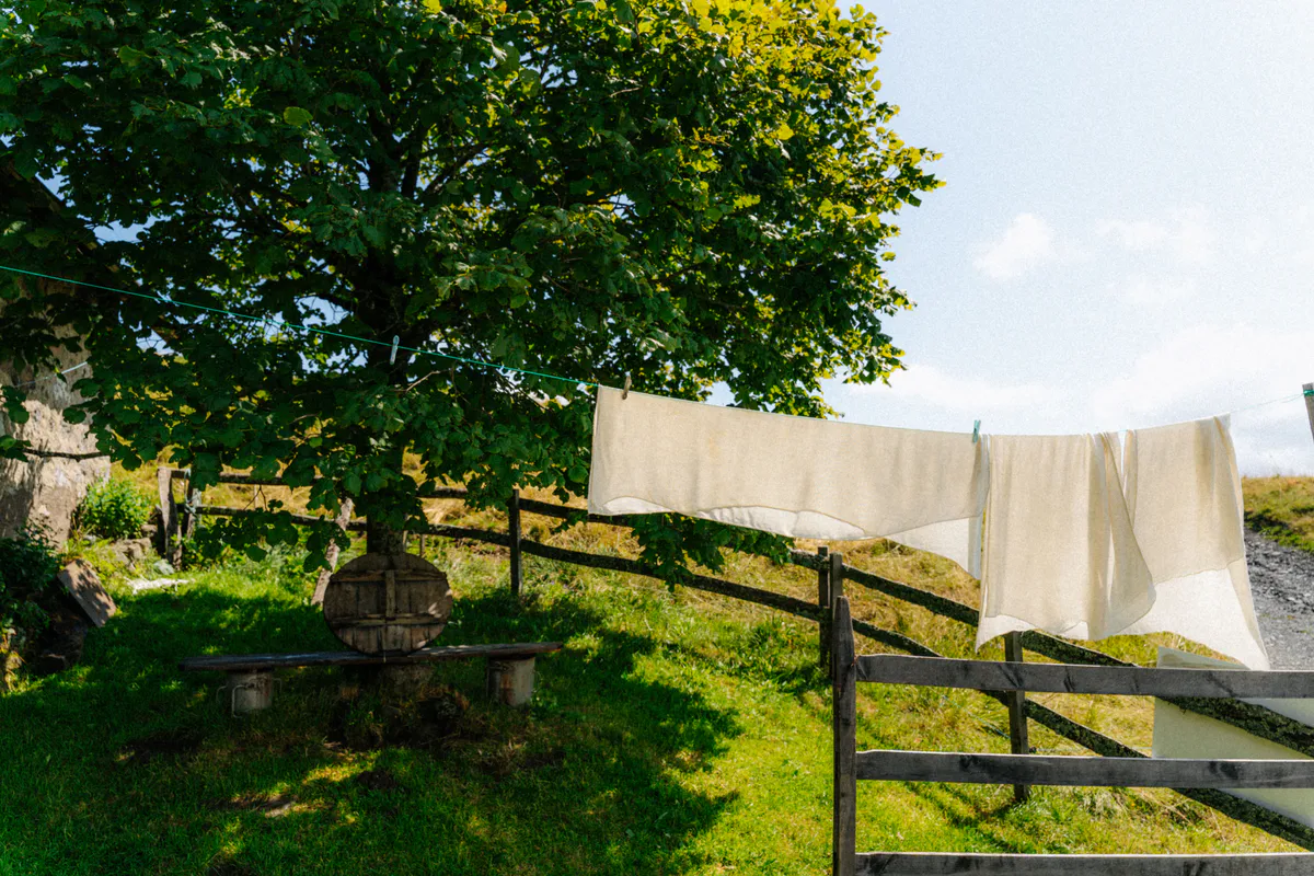 A clothesline strung beneath a tree in the French countryside on a sunny day