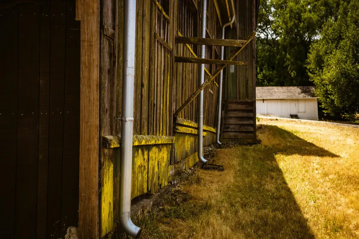 A rustic rural cabin with rain gutters and downspouts feeding a rainwater collection setup in bright daylight